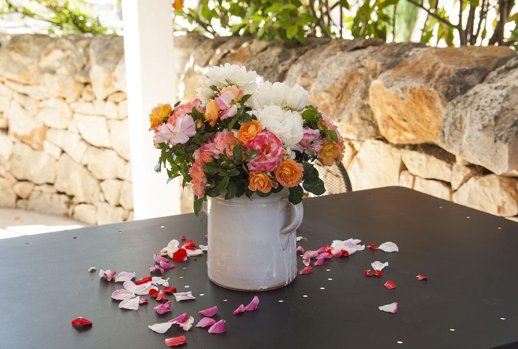 B&B Trulli Valle D'Itria 马丁纳弗兰卡 外观 照片
